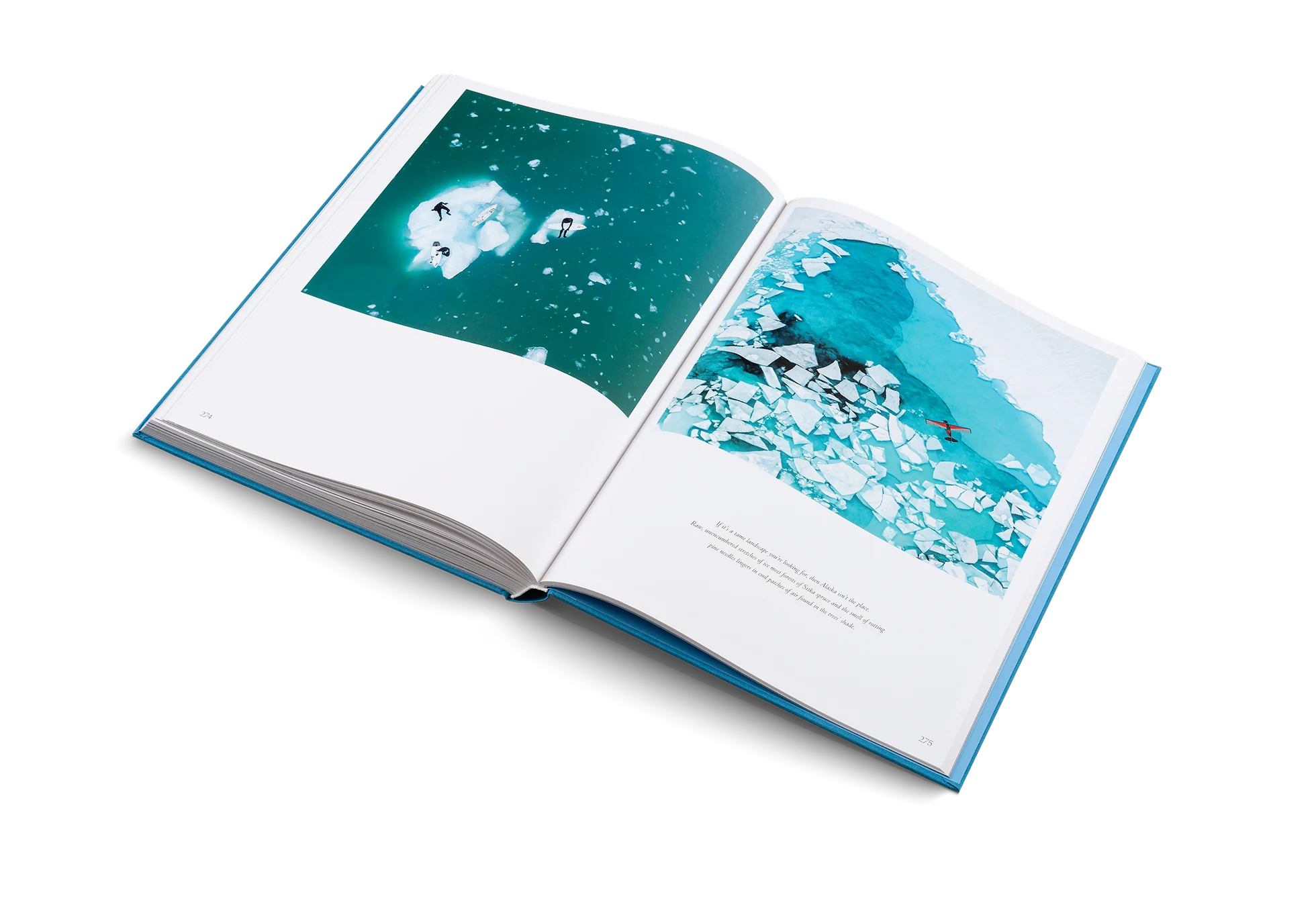 The Oceans