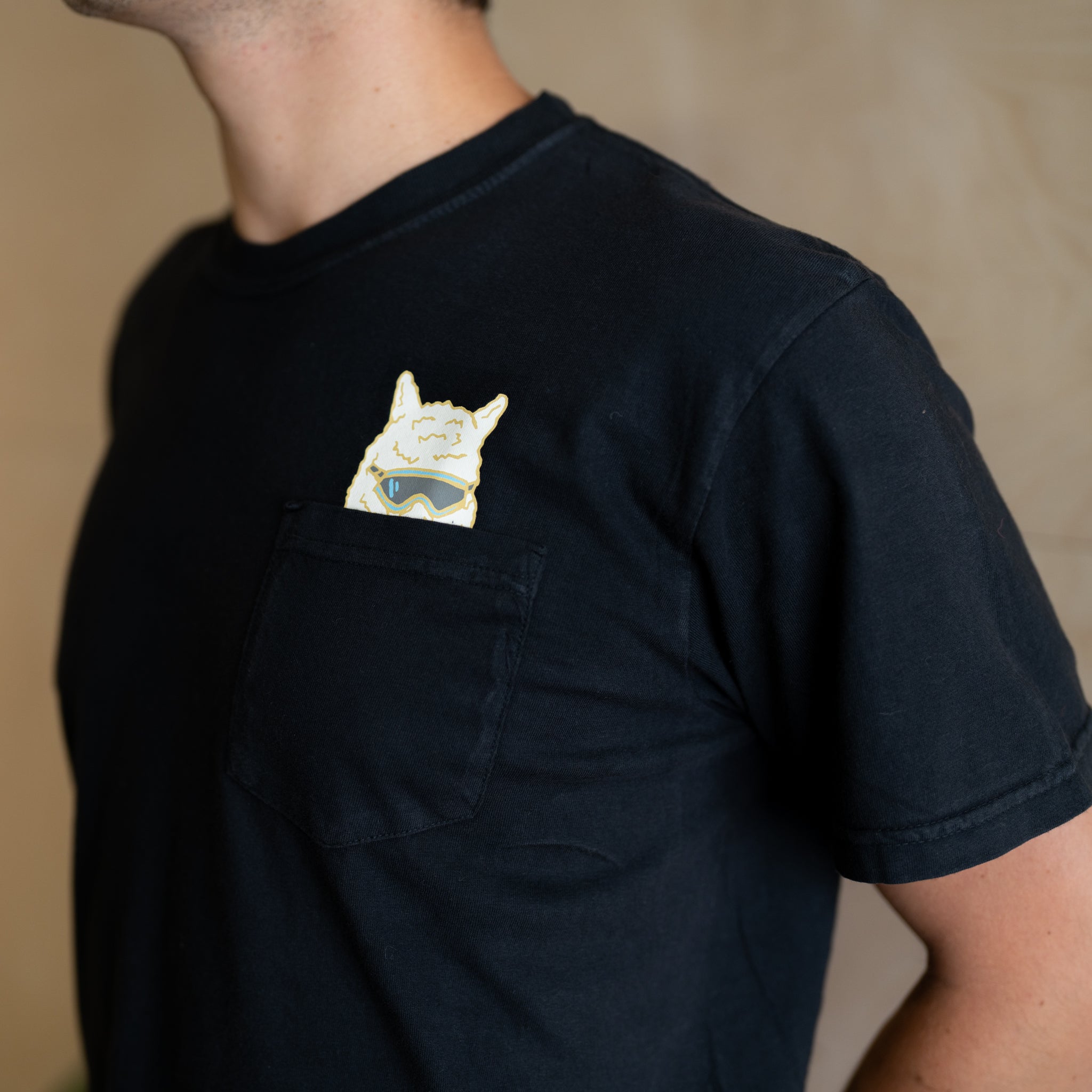 Alpaca Pocket T-Shirt - Black