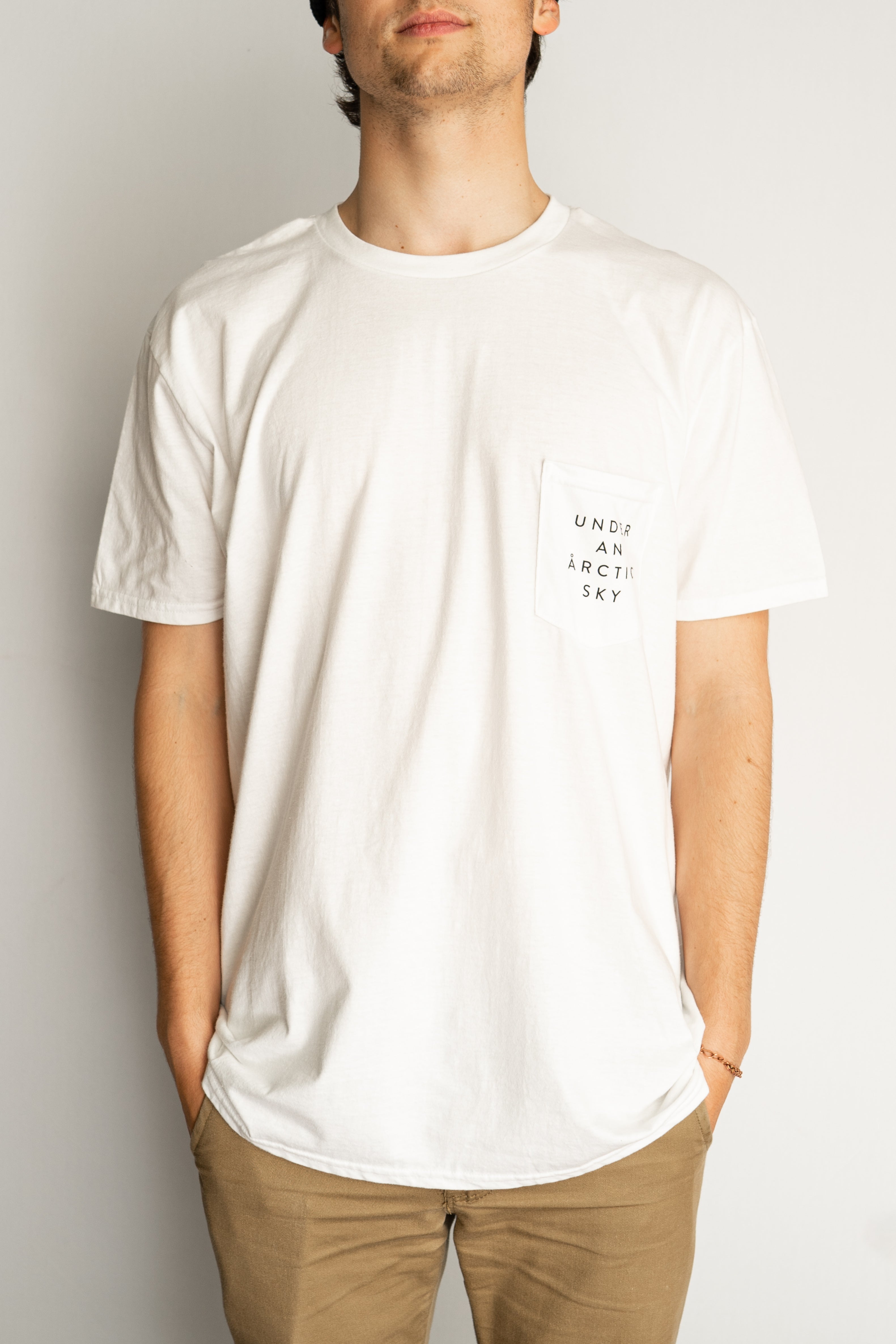 Under an Arctic Sky T-shirt