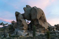 3-DAY WORKSHOP FIELD STATION, JOSHUA TREE