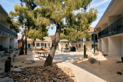 3-DAY WORKSHOP FIELD STATION, JOSHUA TREE