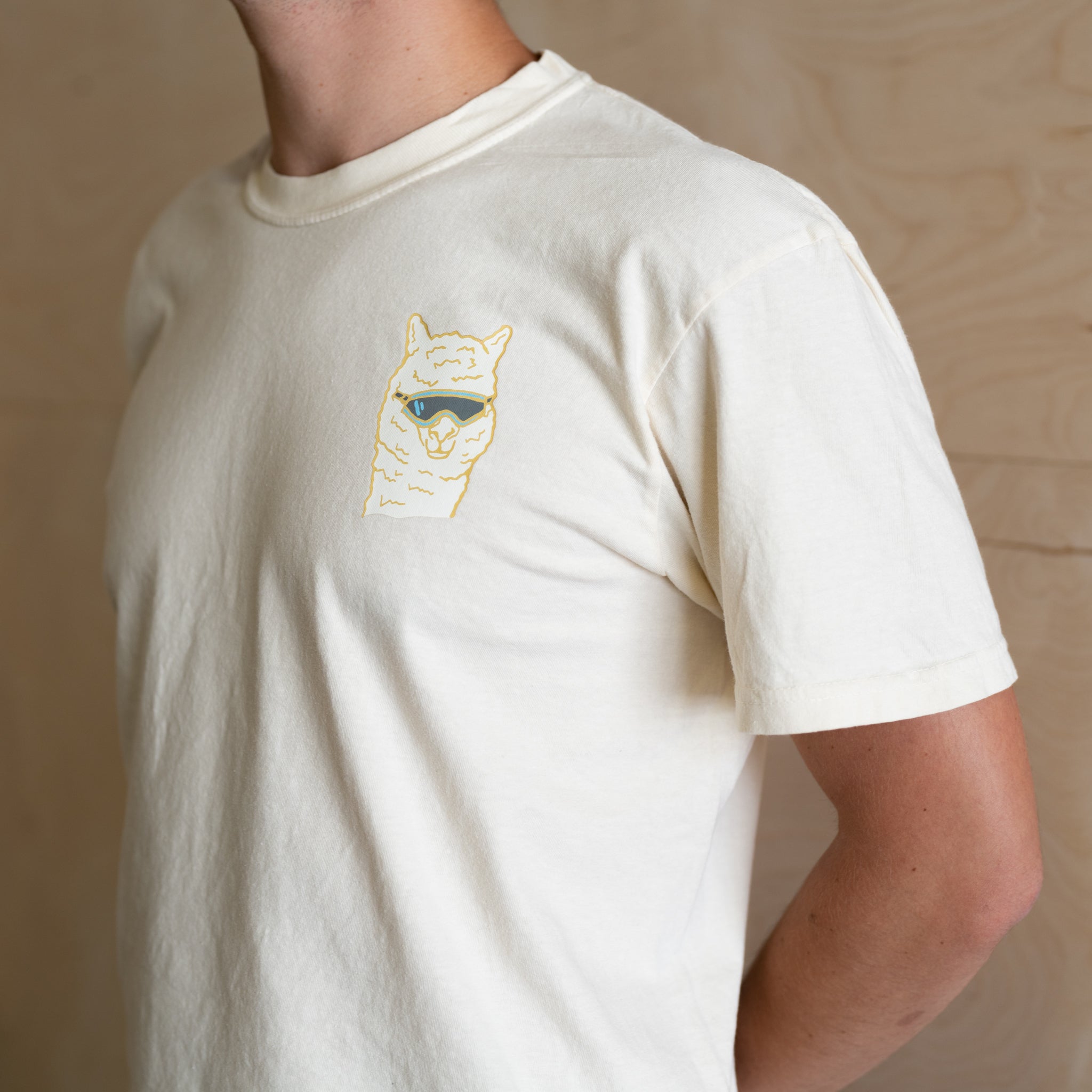 Bugt Hollow enkelt gang Alpaca T-Shirt - Off White – Chris Burkard Studio